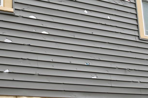 Bowdon, GA Siding Installation & Repair Company